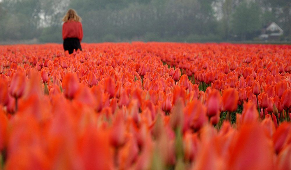 Я встречался с Весной