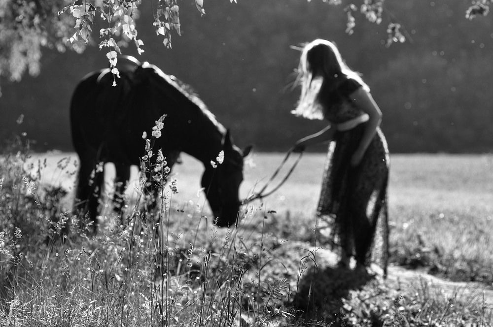 Лето Среднерусской возвышенности