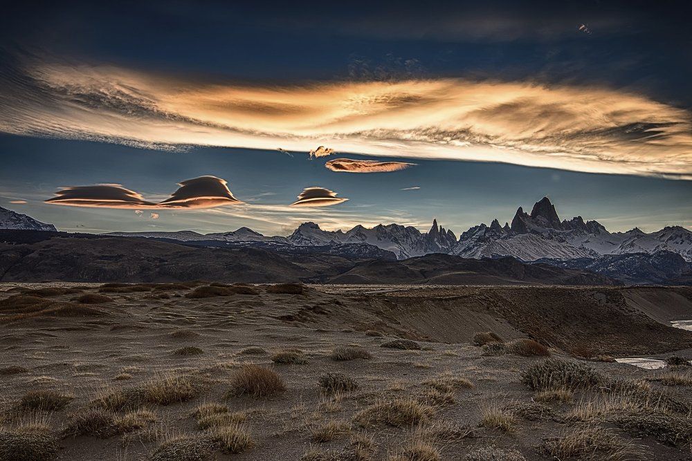 Creciendo sobre el arenal