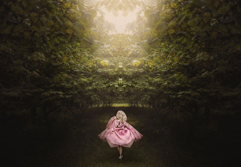 Gardens of Rorschach