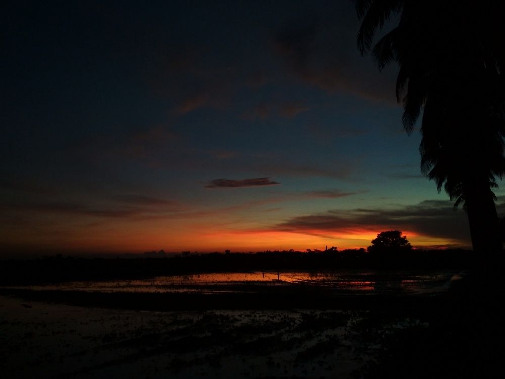 Last Rays of the sun