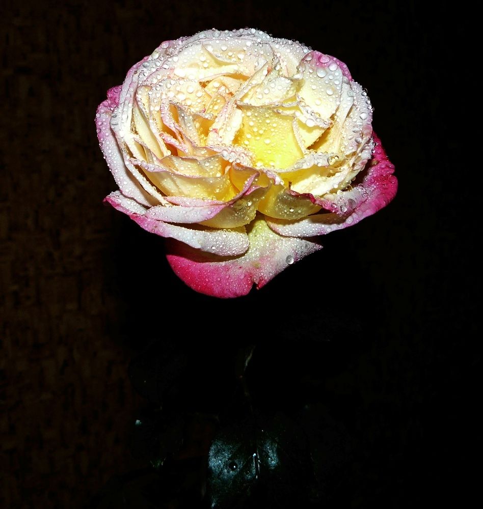 Photograph by леонид натапов