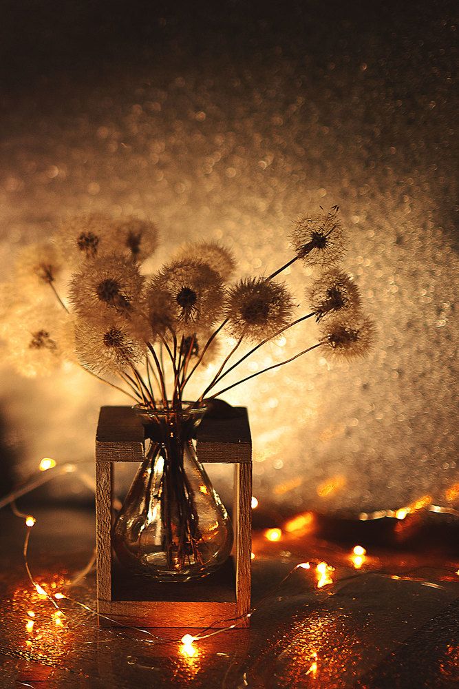 Photograph by Нурият Аллаярова