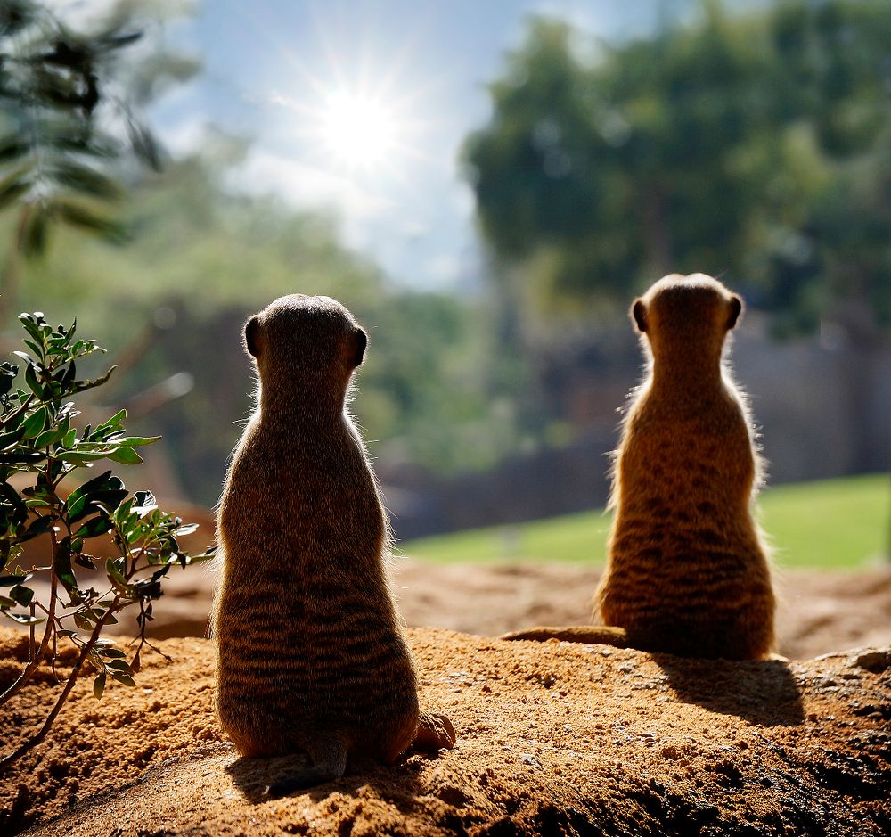 Другой мир.