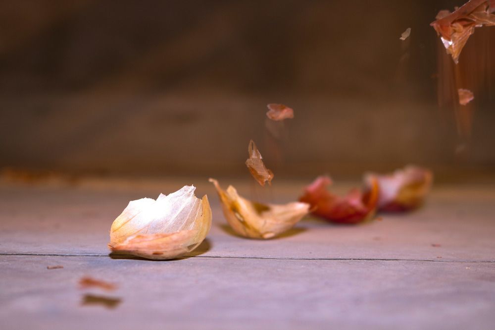 Do onions make you cry