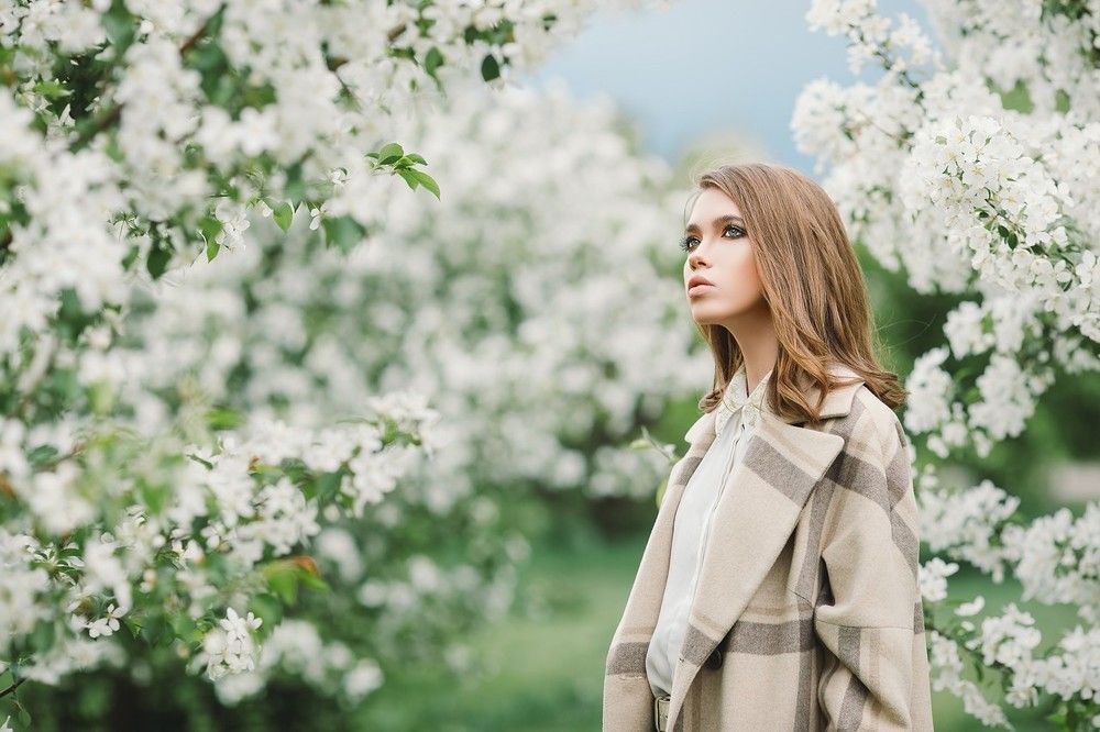 Яблоневый цвет