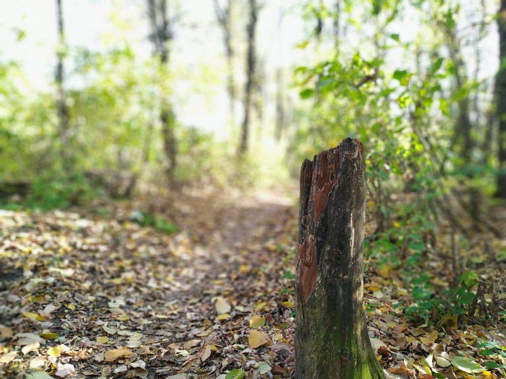 Photograph by Дмитрий Пропастин