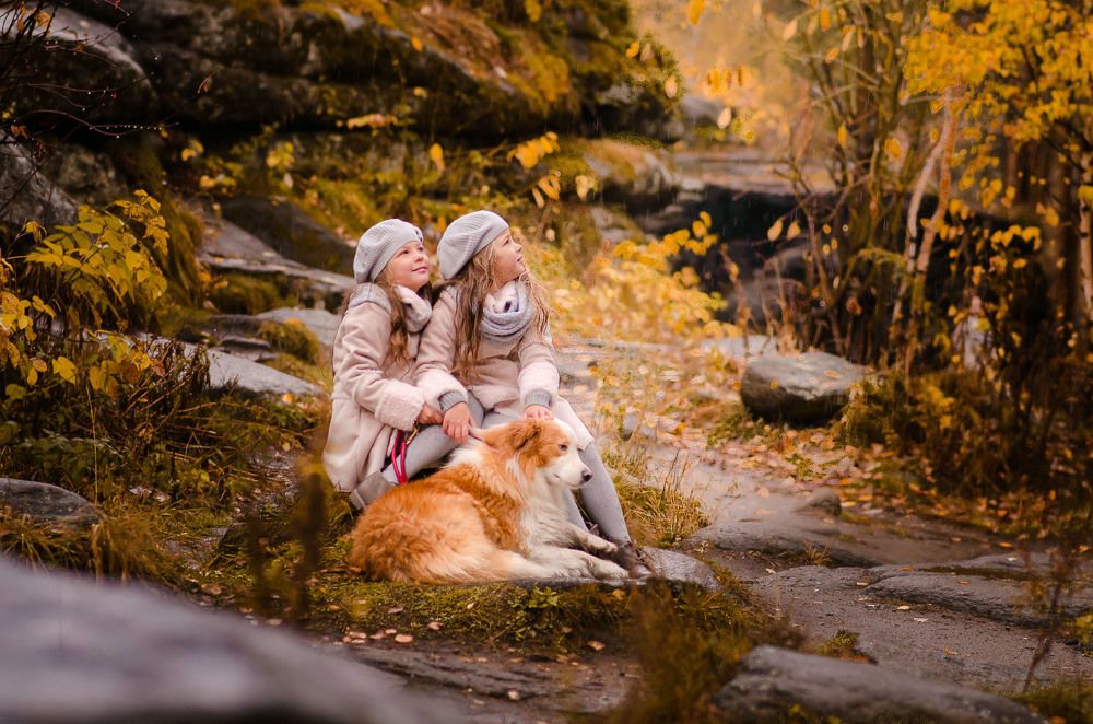 Две сестры и друг