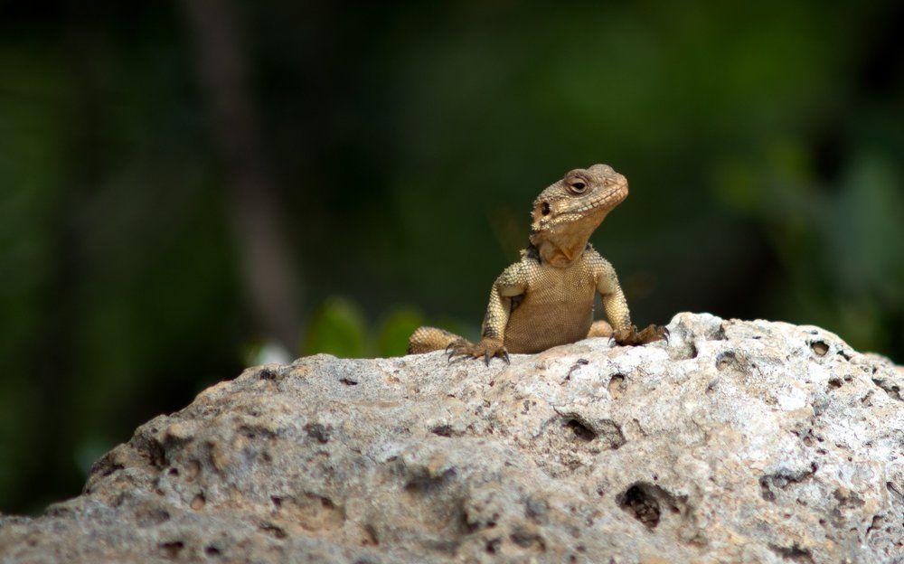 Здравствуйте!