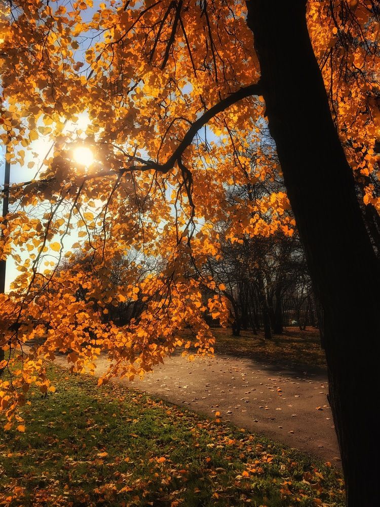 Photograph by Яна Лугинина