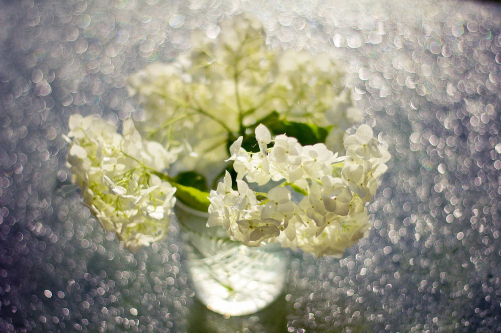 Свежесть утра