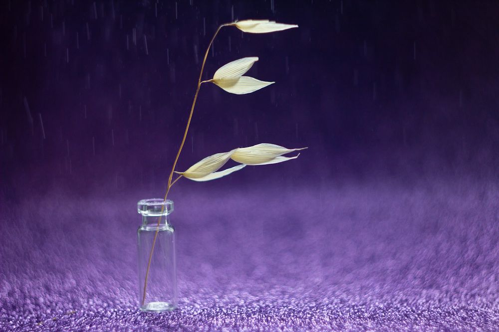 Минимализм