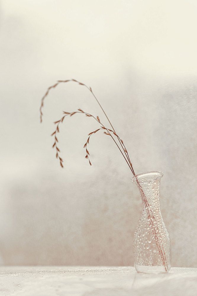 Photograph by Нурият Аллаярова