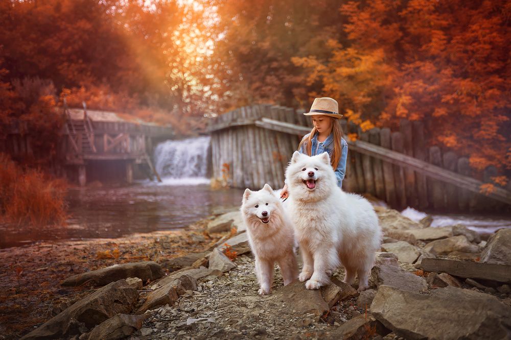 Дело к Осени