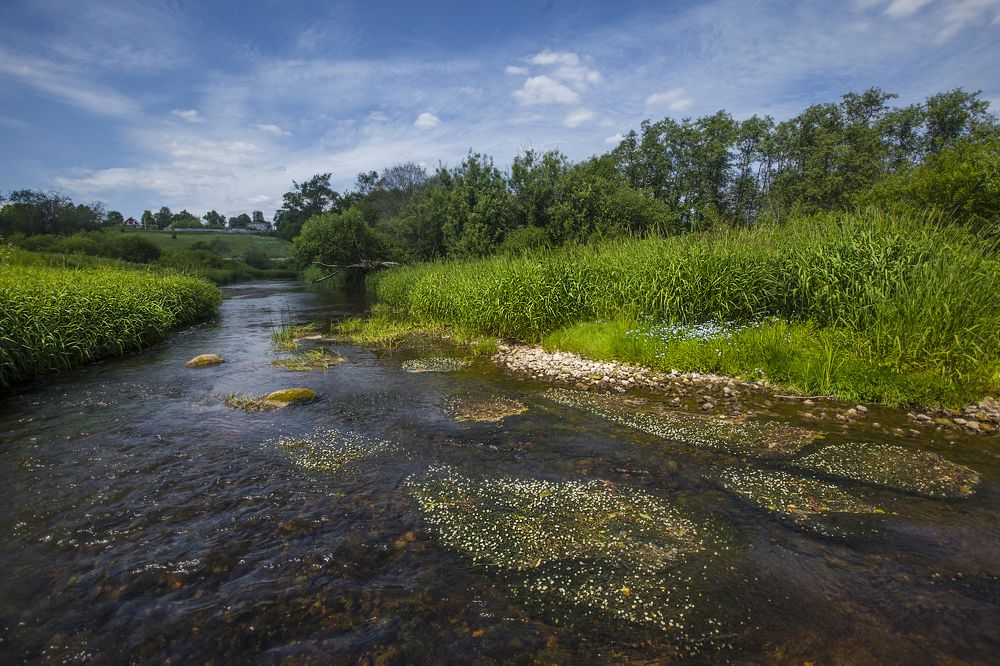 Москва река исток