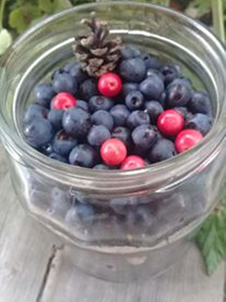 Лесные ягоды