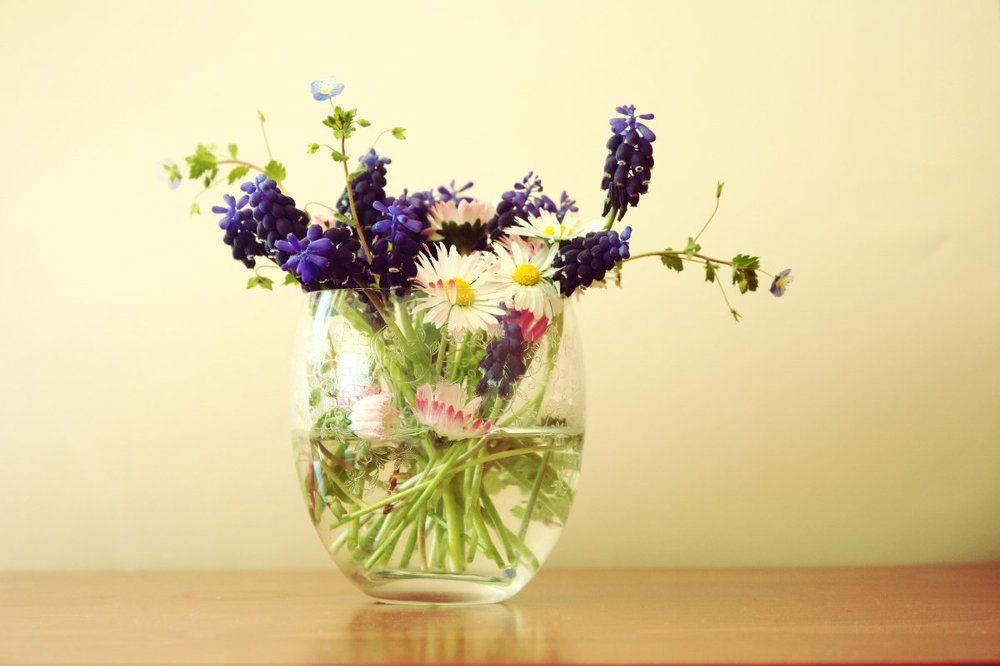 Photograph by Светлана