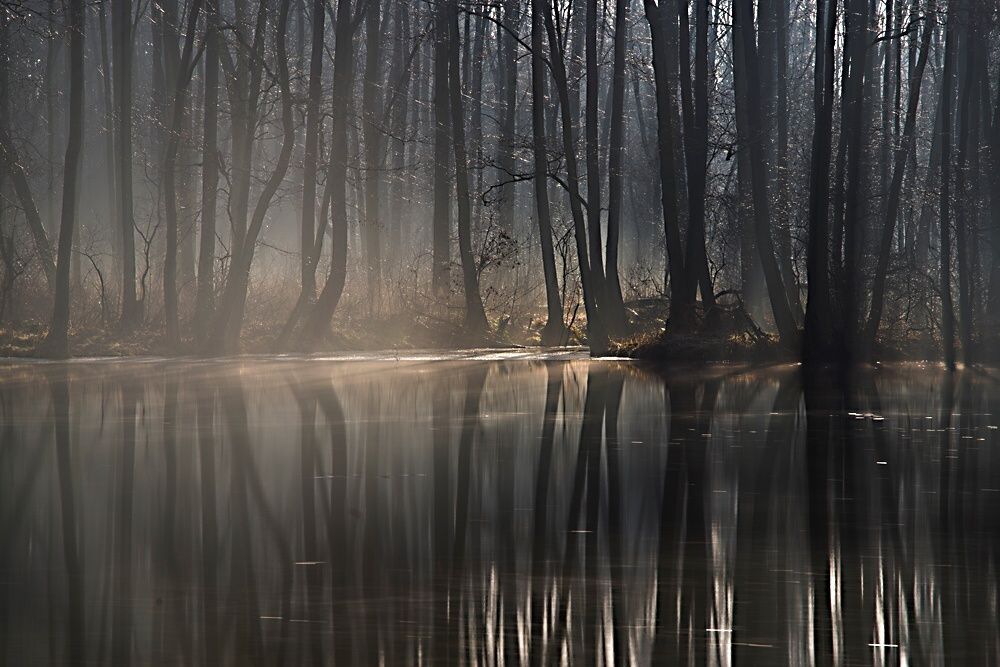 Nature Reserve "Blue Springs"