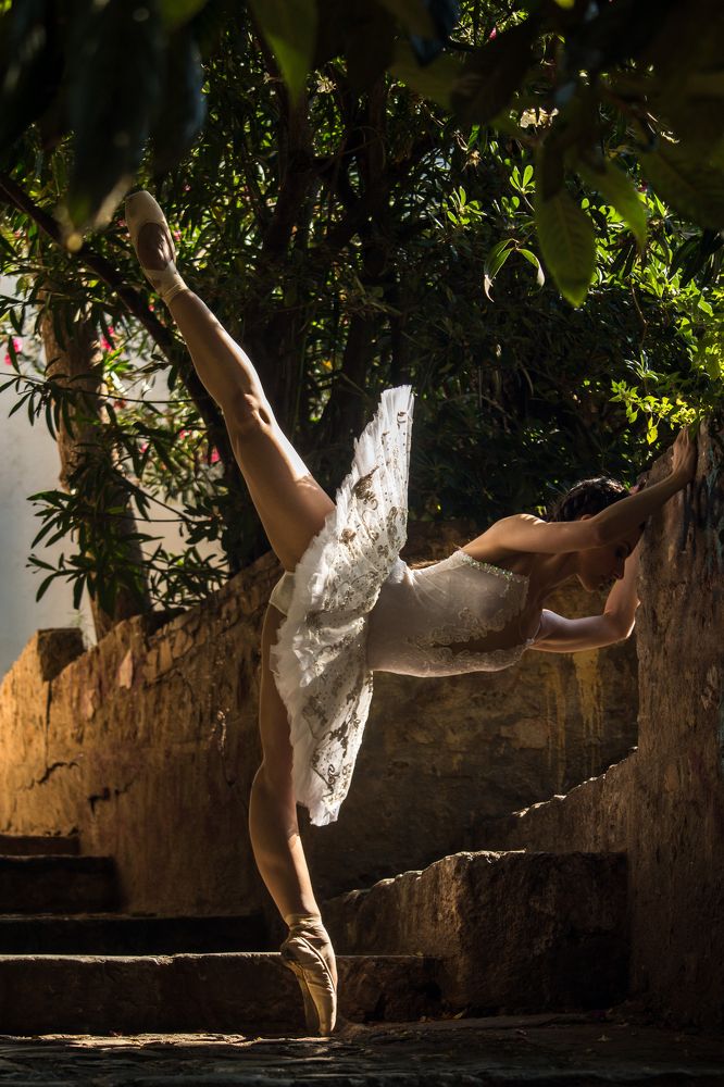 Let your life lightly dance on the edges of Time like dew on the tip of a leaf.