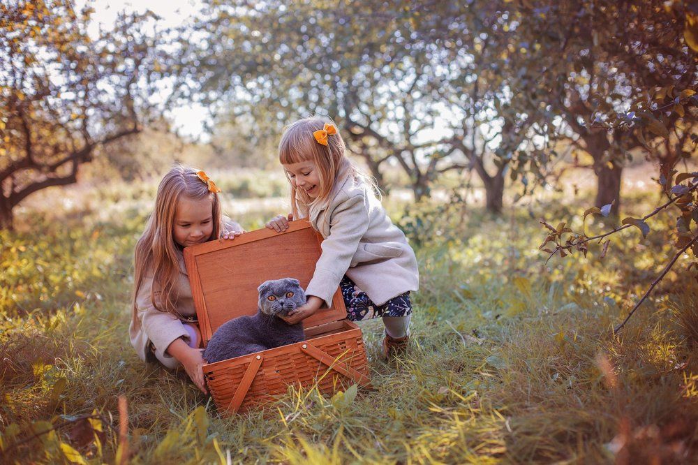 girls go out and cat