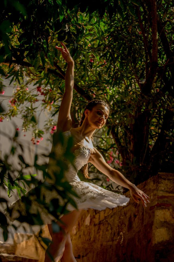 Poetry is an echo, asking a shadow to dance.