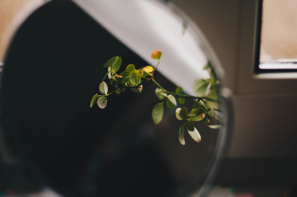 Отражение маленькой жизни