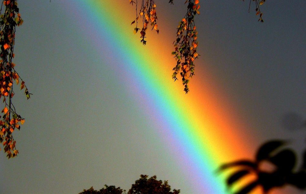 Photograph by леонид натапов