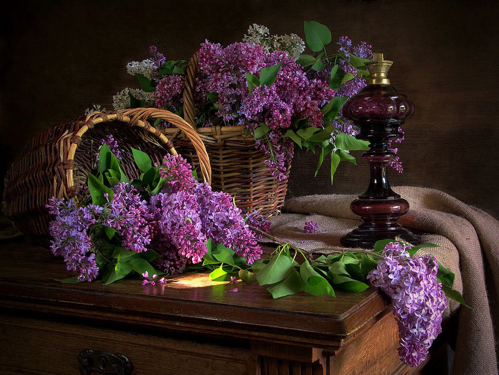 Пора сирени