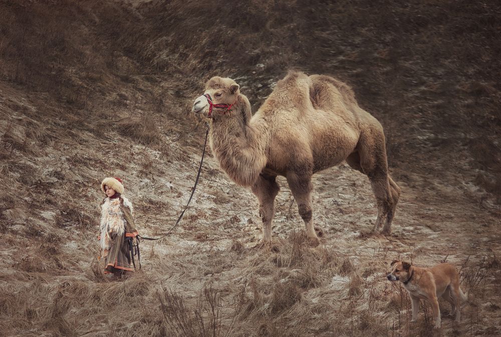 Фотография автора Тимакова Татьяна