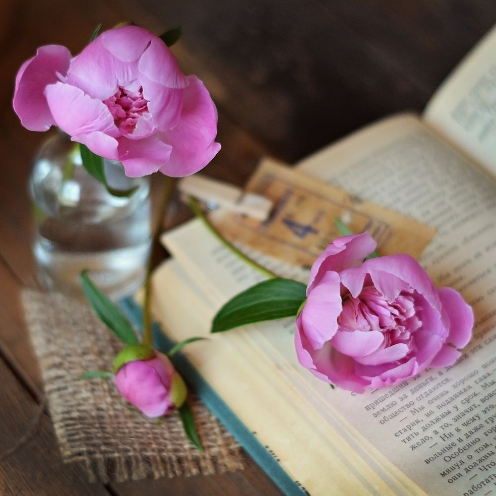 ностальгия по весне