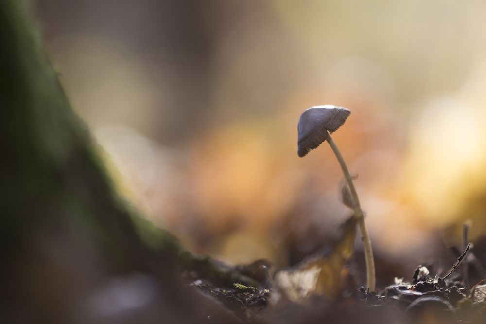 Photograph by Викулов Николай