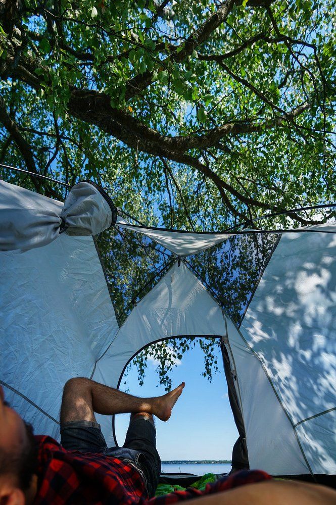 Лето это маленькая жизнь