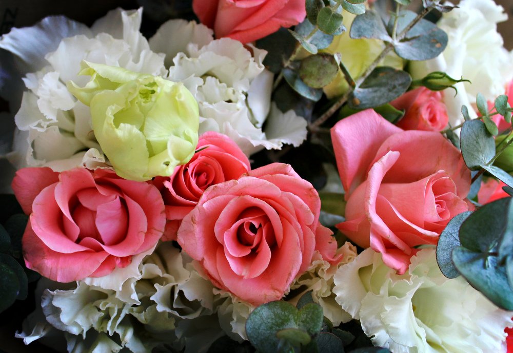 Photograph by Irina Radzinskaya