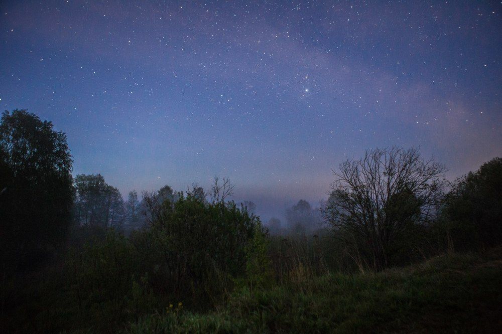 Photograph by Воробьёв Евгений