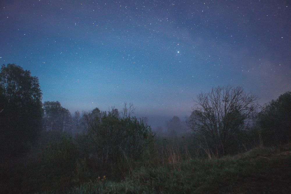 Photograph by Воробьёв Евгений