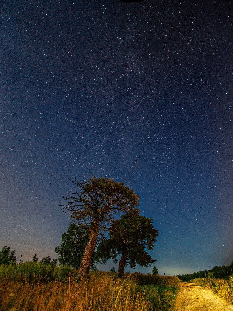 Photograph by Воробьёв Евгений