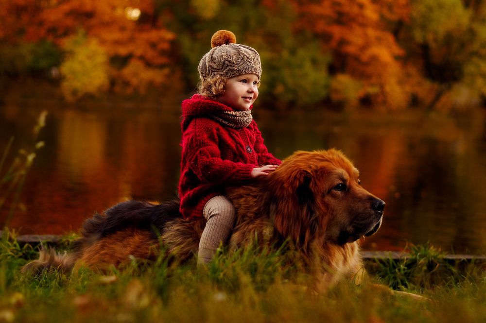 Старший друг