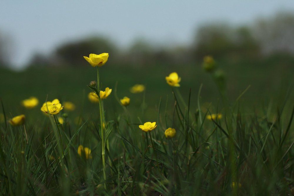 Photograph by Максим Пинчук