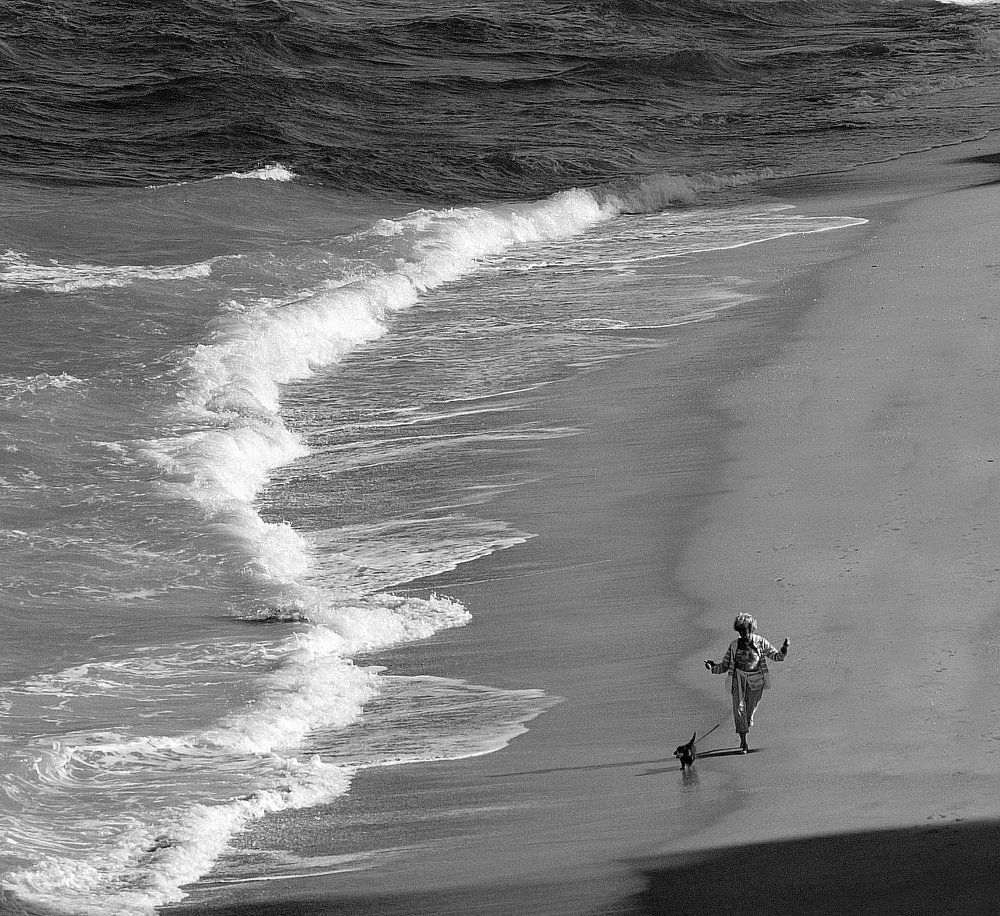 Дама с собачкой