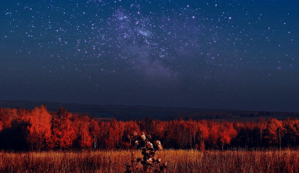 Осенняя ночь