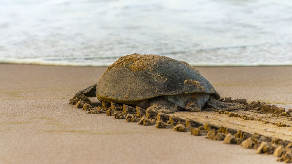 Mission Accomplished