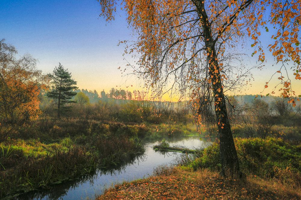 Рассвет на Нерской
