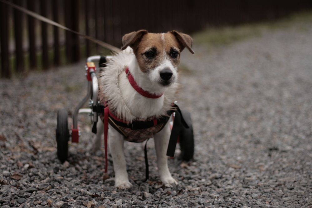 Photograph by Мария Ковалевская