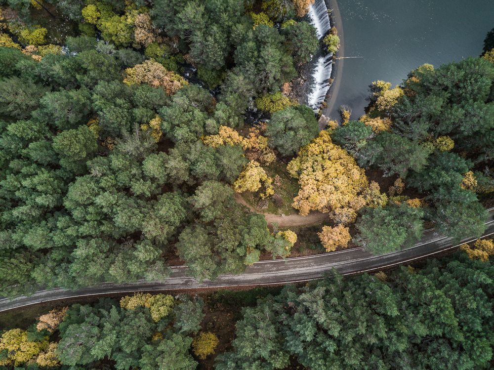 Road to the waterfall.