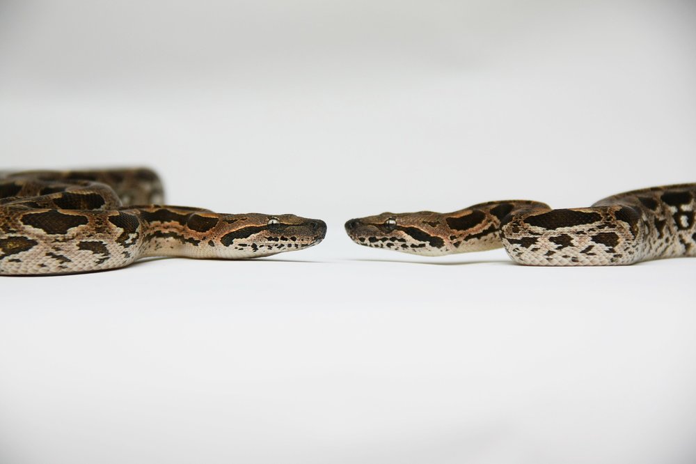 Смотрюсь в тебя как в зеркало