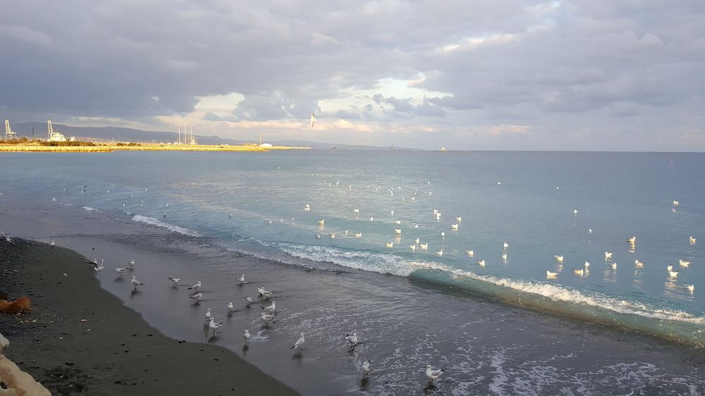 A beautiful winter day in Limassol