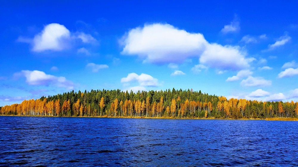 Валдайская осень