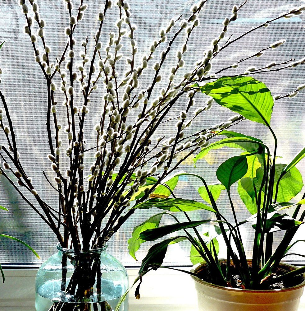 Photograph by леонид натапов