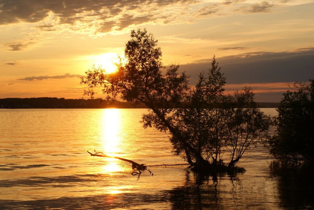 Осафовы острава.