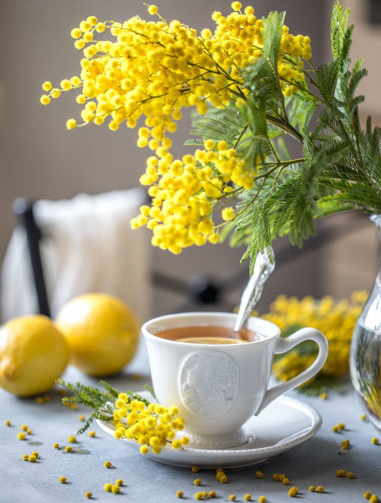 Весенний натюрморт